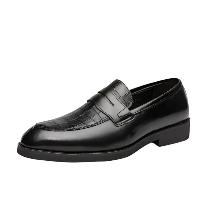 Alviro Croc Panel Loafers